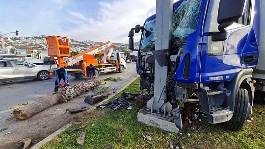 Kontrolden çıkan kamyonet direğe çarparak durdu