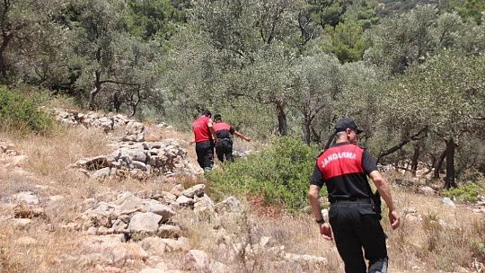 Köpeğin getirdiği insan kafatası polisi alarma geçirdi