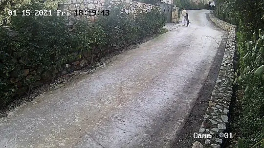 Köpeğin saldırısına uğrayarak yaralanan genç kızın annesi, köpeği ezmekle suçlandı