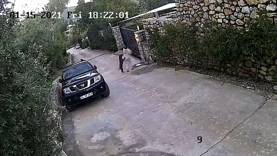Köpeğin saldırısına uğrayarak yaralanan genç kızın annesi, köpeği ezmekle suçlandı