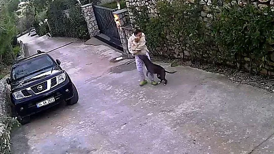 Köpeğin saldırısına uğrayarak yaralanan genç kızın annesi, köpeği ezmekle suçlandı