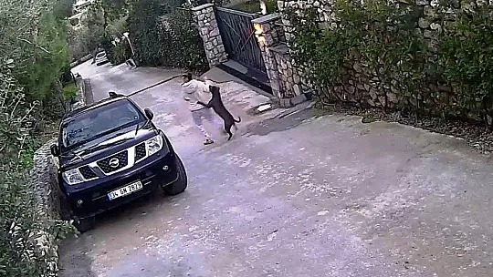 Köpeğin saldırısına uğrayarak yaralanan genç kızın annesi, köpeği ezmekle suçlandı