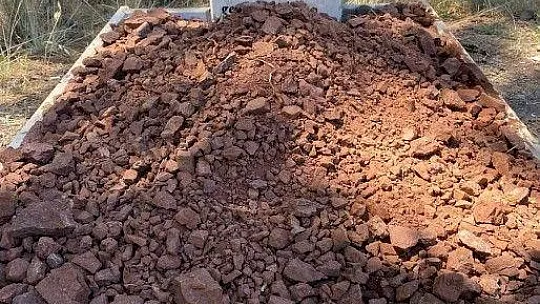 Köpeğinin mezarını tahrip edenler hakkında suç duyurusunda bulundu