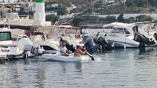 Köpek balığının yardımına koştular