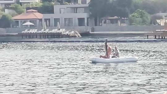 Köpek balığının yardımına koştular