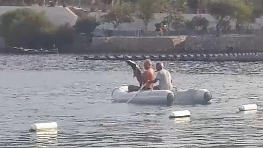 Köpek balığının yardımına koştular