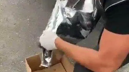 Köpek mamasından uyuşturucu çıktı