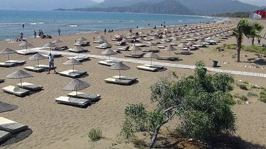 Korona virüs deniz kaplumbağalarına yaradı