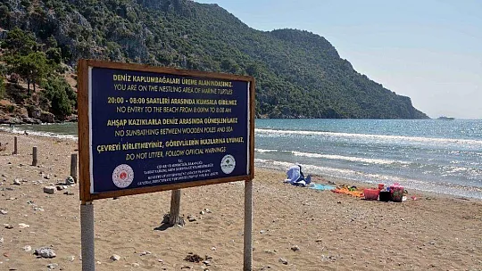 Korona virüs deniz kaplumbağalarına yaradı