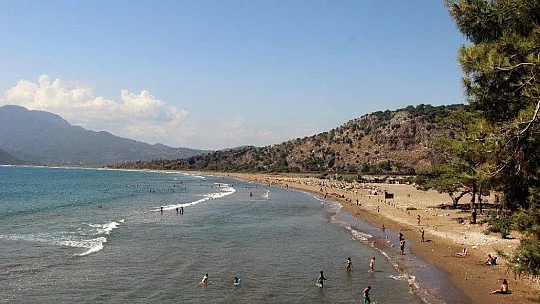 Korona virüs deniz kaplumbağalarına yaradı