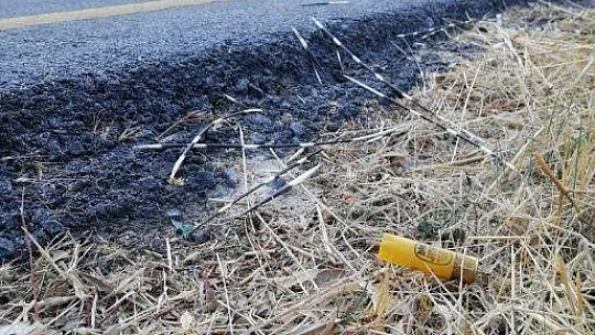 Koruma altındaki hayvanı gözlerini kırpmadan vurdular