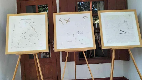 Köyceğiz'de 'Güneşle Birlikte' sergisi açıldı