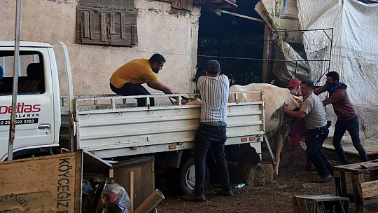Köyceğiz'de 5 mahalle tahliye edildi