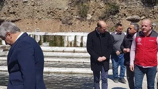 Köyceğiz'de alabalık ve çilek üretim alanlarında incelemelerde bulunuldu