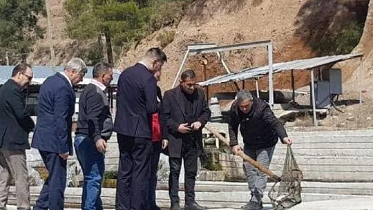 Köyceğiz'de alabalık ve çilek üretim alanlarında incelemelerde bulunuldu