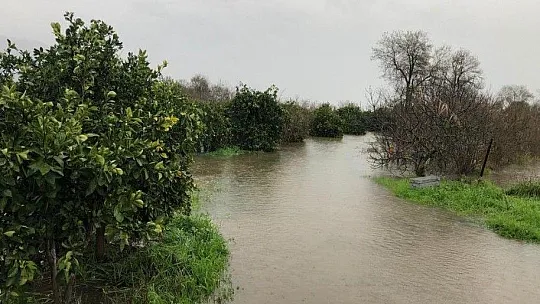 Köyceğiz'de aşırı yağışların meydana getirdiği zararlarla ilgili ön inceleme başlatıldı