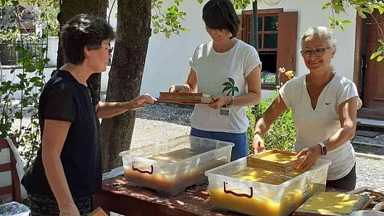 Köyceğiz'de atölye çalışması yapıldı