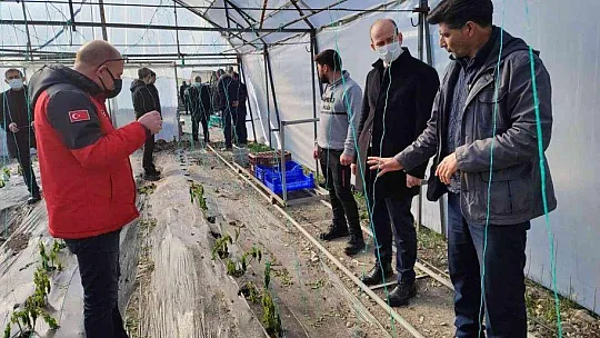 Köyceğiz'de çiftçilerin yaraları sarılıyor