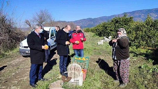 Köyceğiz'de çiftçilerin yaraları sarılıyor