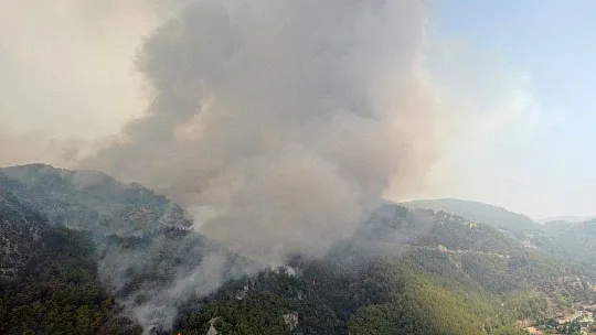 Köyceğiz'de dumanlar tekrar yükseldi