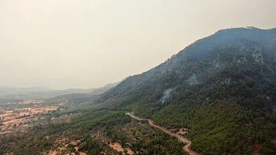 Köyceğiz'de dumanlar tekrar yükseldi