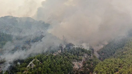 Köyceğiz'de dumanlar tekrar yükseldi
