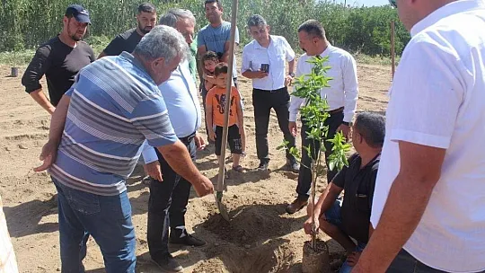 Köyceğiz'de öğrenciler okul bahçesine narenciye fidanı dikti