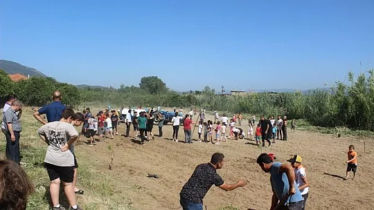 Köyceğiz'de öğrenciler okul bahçesine narenciye fidanı dikti