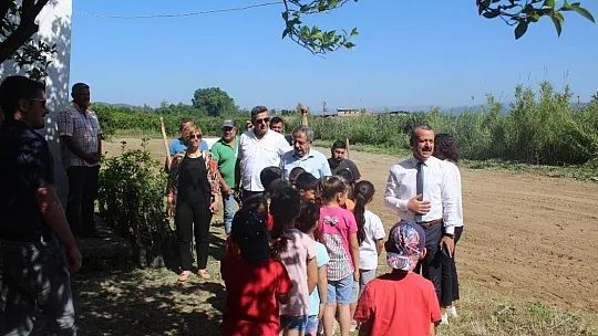 Köyceğiz'de öğrenciler okul bahçesine narenciye fidanı dikti