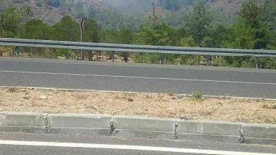 Köyceğiz'de orman yangını