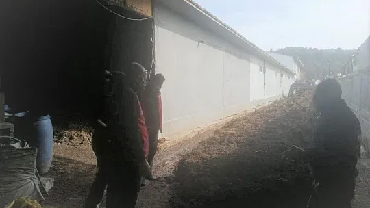 Köyceğiz'de solucan gübresi üretimi için araştırma