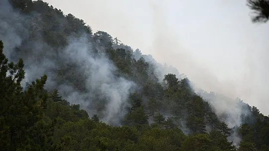 Köyceğiz'de tedbir amaçlı mahallelerin tahliyelerine devam ediliyor