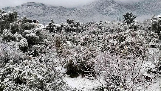 Köyceğiz'de vatandaşlar kar sürprizi ile uyandı