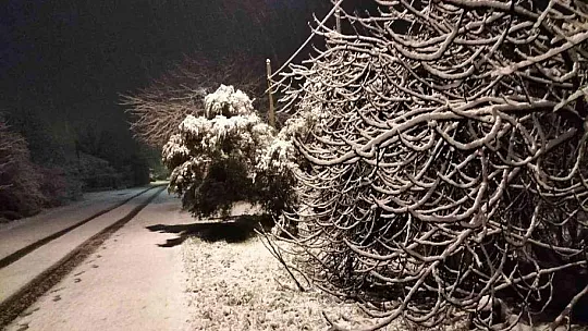 Köyceğiz'de vatandaşlar kar sürprizi ile uyandı