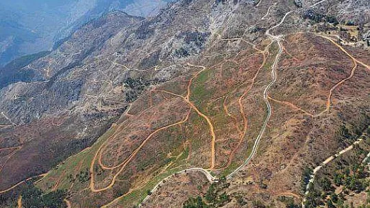 KÖYCEĞİZ'DE YANAN ORMANLARDA YARALAR SARILIYOR