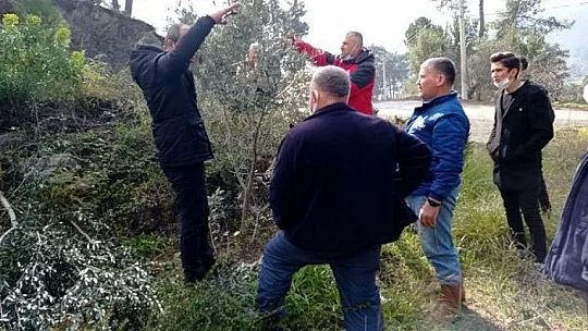 Köyceğiz'de zeytin üreticilerine uygulamalı budama eğitimi verildi