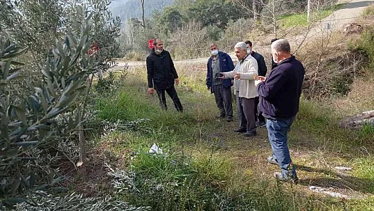 Köyceğiz'de zeytin üreticilerine uygulamalı budama eğitimi verildi