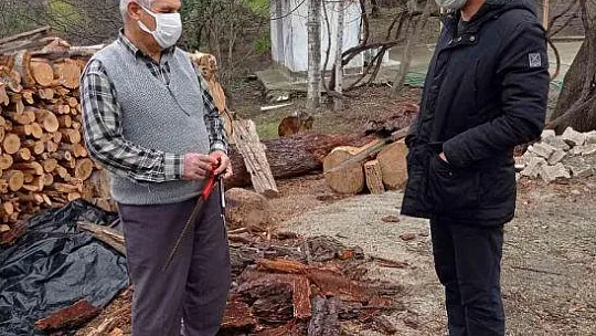Köyceğiz'de zeytin üreticilerine uygulamalı budama eğitimi verildi