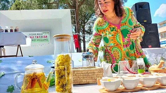 Köyceğiz Devalı Tatlar Festivali sona erdi