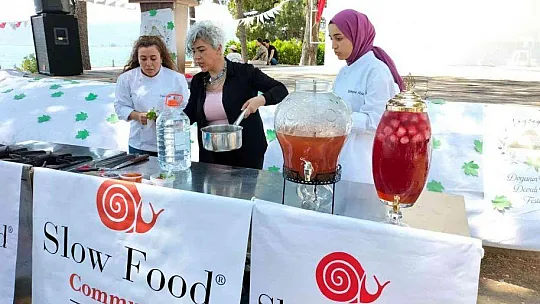 Köyceğiz Devalı Tatlar Festivali sona erdi