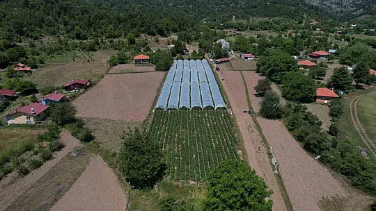 Yayladan zincir market raflarına