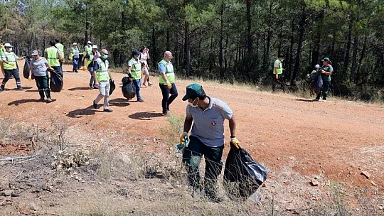 Kozağaç yangın bölgesinde çevre temizliği