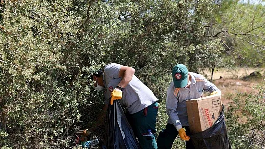 Kozağaç yangın bölgesinde çevre temizliği