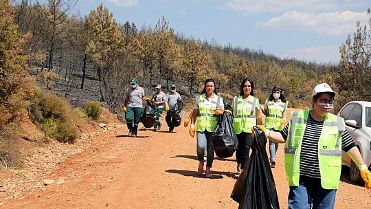 Kozağaç yangın bölgesinde çevre temizliği
