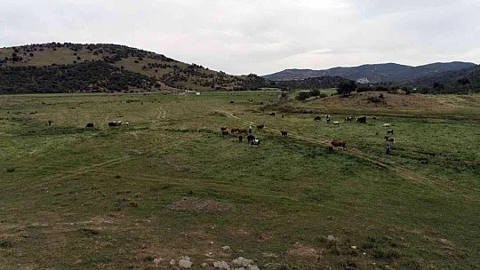 Küdür Yarımadasında mera ıslah proje çalışması