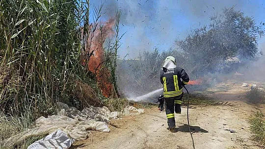 Kullanılmayan araçta başlayan yangın Sazlık alana sıçradı