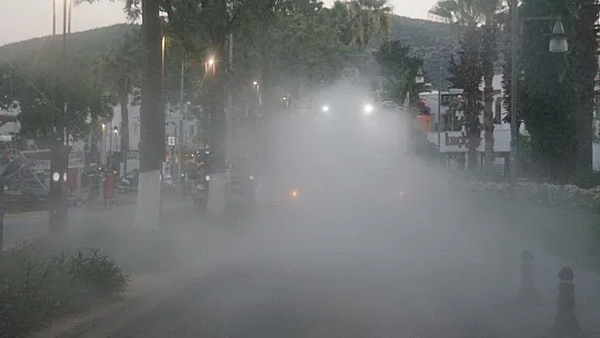 KURBAN KESİM YERLERİ İLE CADDE VE SOKAKLAR DEZENFEKTE EDİLDİ