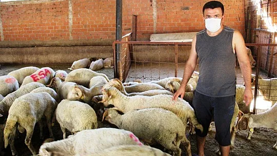 Kurban pazarlığında tokalaşma devri bitti, iple pazarlık başladı