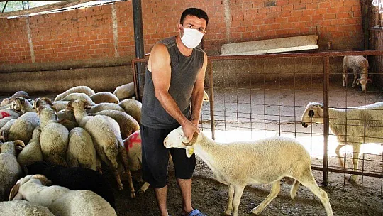 Kurban pazarlığında tokalaşma devri bitti, iple pazarlık başladı