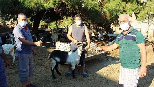 Kurban pazarlığında tokalaşma devri bitti, iple pazarlık başladı